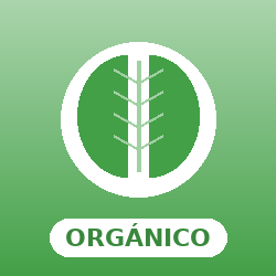 bendita grow